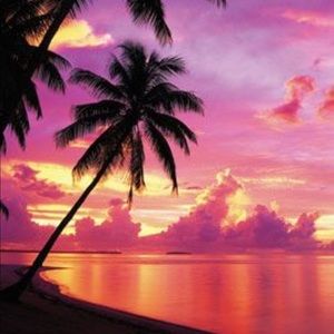 Meet your Posher, Sophia